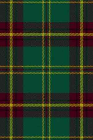 Beard Modern Tartan Kilt for Men