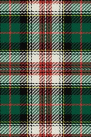 Palmer Edward Ancient Tartan Kilt for Men