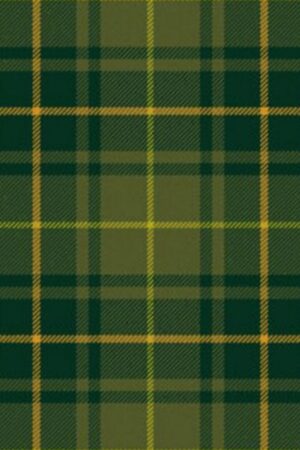 Park Estate Modern Tartan Kilt for Men
