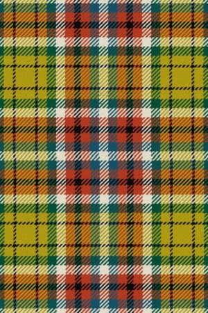 Williams Lake City Ancient Tartan Kilt for Men